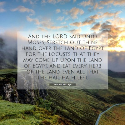 Picture 07 - Exodus 10:12 KJV - And the LORD said unto Moses, Stretch out thine - Bible Verse Picture