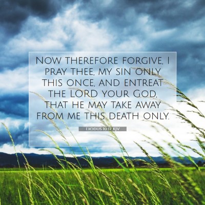 Picture 07 - Exodus 10:17 KJV - Now therefore forgive, I pray thee, my sin only - Bible Verse Picture