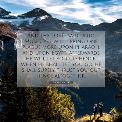 Picture 07 - Exodus 11:1 KJV - And the LORD said unto Moses, Yet will I bring - Bible Verse Picture