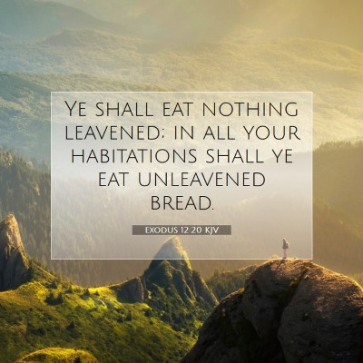 Picture 07 - Exodus 12:20 KJV - Ye shall eat nothing leavened; in all your - Bible Verse Picture