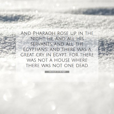 Picture 07 - Exodus 12:30 KJV - And Pharaoh rose up in the night, he, and all his - Bible Verse Picture