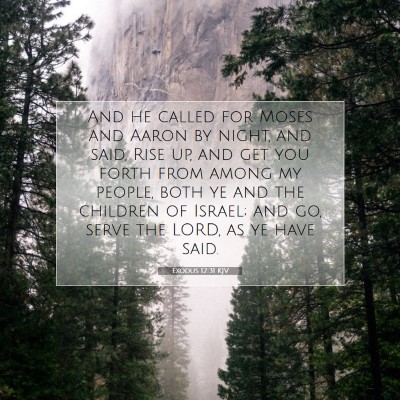 Picture 07 - Exodus 12:31 KJV - And he called for Moses and Aaron by night, and - Bible Verse Picture