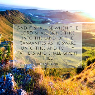 Picture 07 - Exodus 13:11 KJV - And it shall be when the LORD shall bring thee - Bible Verse Picture