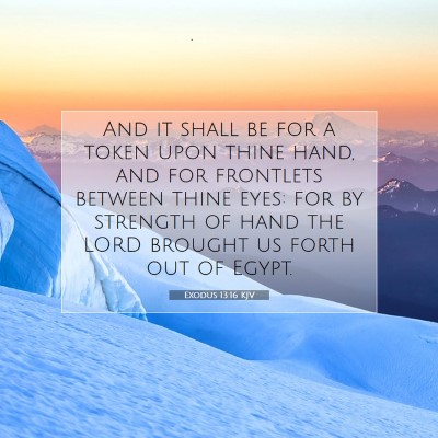 Picture 07 - Exodus 13:16 KJV - And it shall be for a token upon thine hand, and - Bible Verse Picture