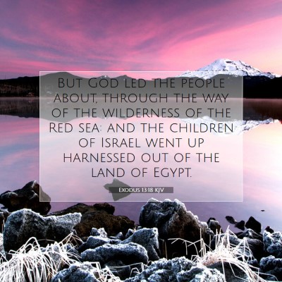 Picture 07 - Exodus 13:18 KJV - But God led the people about, through the way of - Bible Verse Picture