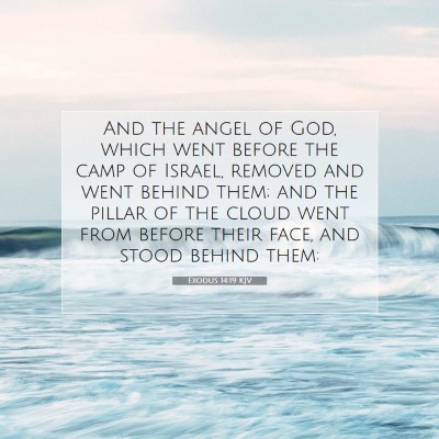 Picture 07 - Exodus 14:19 KJV - And the angel of God, which went before the camp - Bible Verse Picture