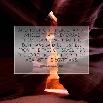 Picture 07 - Exodus 14:25 KJV - And took off their chariot wheels, that they - Bible Verse Picture