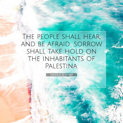 Picture 07 - Exodus 15:14 KJV - The people shall hear, and be afraid: sorrow - Bible Verse Picture