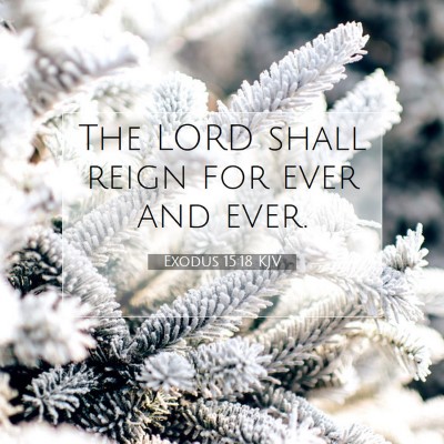 Picture 07 - Exodus 15:18 KJV - The LORD shall reign for ever and - Bible Verse Picture