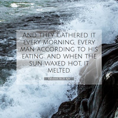 Picture 07 - Exodus 16:21 KJV - And they gathered it every morning, every man - Bible Verse Picture