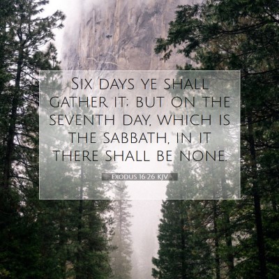 Picture 07 - Exodus 16:26 KJV - Six days ye shall gather it; but on the seventh - Bible Verse Picture