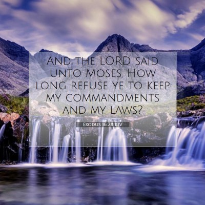 Picture 07 - Exodus 16:28 KJV - And the LORD said unto Moses, How long refuse ye - Bible Verse Picture