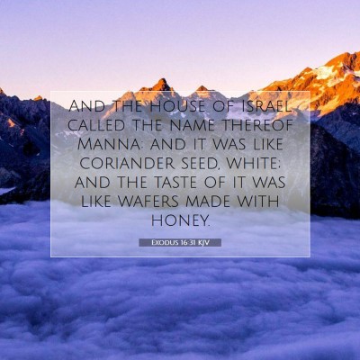 Picture 07 - Exodus 16:31 KJV - And the house of Israel called the name thereof - Bible Verse Picture