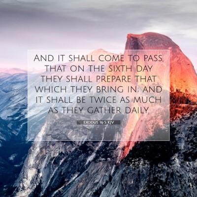 Picture 07 - Exodus 16:5 KJV - And it shall come to pass, that on the sixth day - Bible Verse Picture