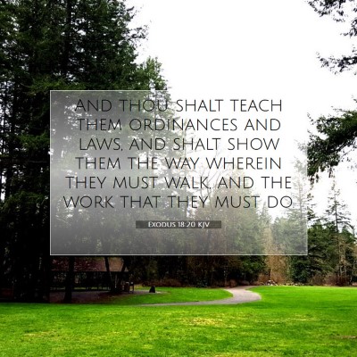 Picture 07 - Exodus 18:20 KJV - And thou shalt teach them ordinances and laws, - Bible Verse Picture