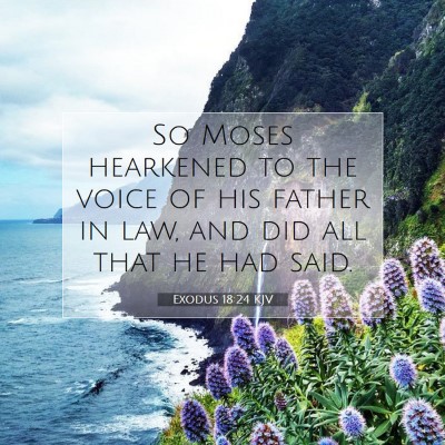 Picture 07 - Exodus 18:24 KJV - So Moses hearkened to the voice of his father in - Bible Verse Picture
