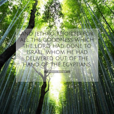Picture 07 - Exodus 18:9 KJV - And Jethro rejoiced for all the goodness which - Bible Verse Picture