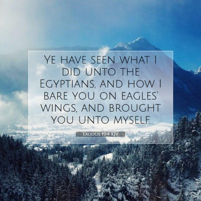 Picture 07 - Exodus 19:4 KJV - Ye have seen what I did unto the Egyptians, and - Bible Verse Picture