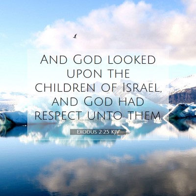 Picture 07 - Exodus 2:25 KJV - And God looked upon the children of Israel, and - Bible Verse Picture