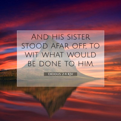Picture 07 - Exodus 2:4 KJV - And his sister stood afar off, to wit what would - Bible Verse Picture