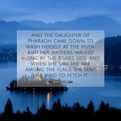 Picture 07 - Exodus 2:5 KJV - And the daughter of Pharaoh came down to wash - Bible Verse Picture