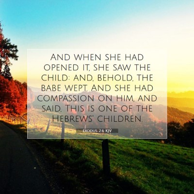 Picture 07 - Exodus 2:6 KJV - And when she had opened it, she saw the child: - Bible Verse Picture