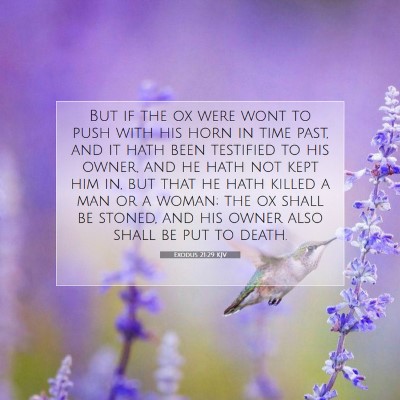 Picture 07 - Exodus 21:29 KJV - But if the ox were wont to push with his horn in - Bible Verse Picture
