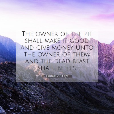 Picture 07 - Exodus 21:34 KJV - The owner of the pit shall make it good, and give - Bible Verse Picture