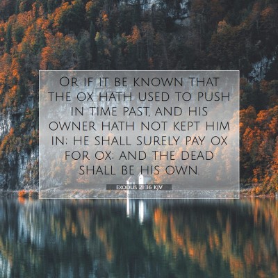 Picture 07 - Exodus 21:36 KJV - Or if it be known that the ox hath used to push - Bible Verse Picture