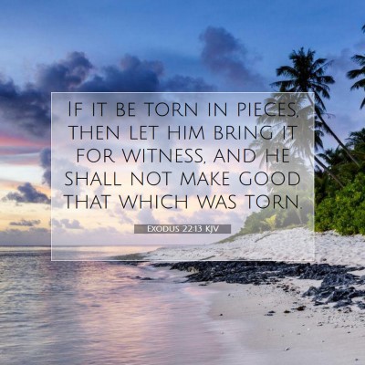 Picture 07 - Exodus 22:13 KJV - If it be torn in pieces, then let him bring it - Bible Verse Picture