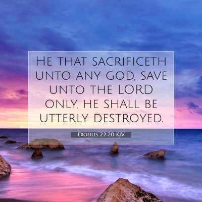 Picture 07 - Exodus 22:20 KJV - He that sacrificeth unto any god, save unto the - Bible Verse Picture