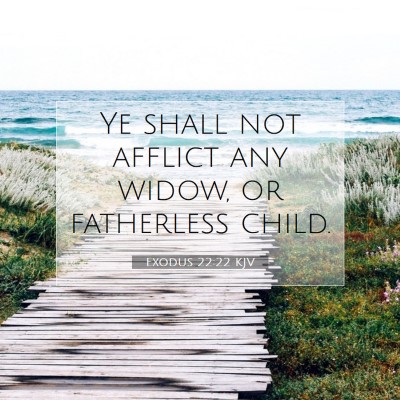 Picture 07 - Exodus 22:22 KJV - Ye shall not afflict any widow, or fatherless - Bible Verse Picture