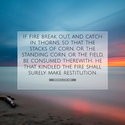 Picture 07 - Exodus 22:6 KJV - If fire break out, and catch in thorns, so that - Bible Verse Picture