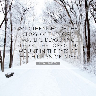 Picture 07 - Exodus 24:17 KJV - And the sight of the glory of the LORD was like - Bible Verse Picture