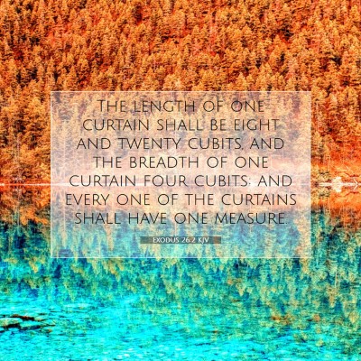 Picture 07 - Exodus 26:2 KJV - The length of one curtain shall be eight and - Bible Verse Picture