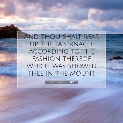 Picture 07 - Exodus 26:30 KJV - And thou shalt rear up the tabernacle according - Bible Verse Picture