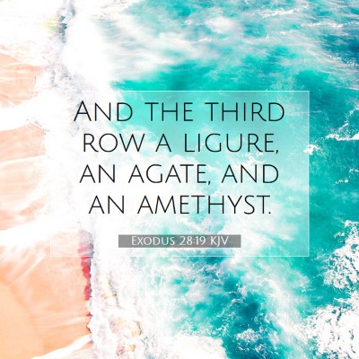 Picture 07 - Exodus 28:19 KJV - And the third row a ligure, an agate, and an - Bible Verse Picture