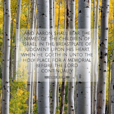 Picture 07 - Exodus 28:29 KJV - And Aaron shall bear the names of the children of - Bible Verse Picture