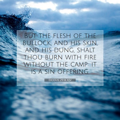 Picture 07 - Exodus 29:14 KJV - But the flesh of the bullock, and his skin, and - Bible Verse Picture