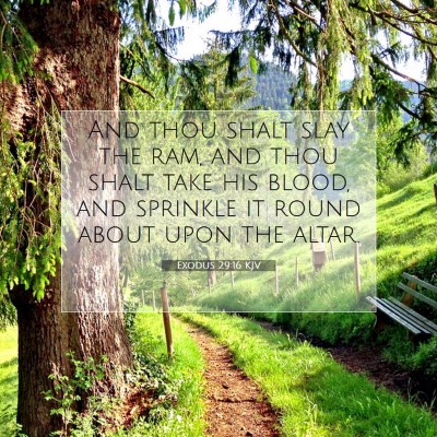 Picture 07 - Exodus 29:16 KJV - And thou shalt slay the ram, and thou shalt take - Bible Verse Picture