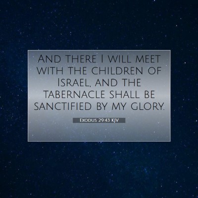 Picture 07 - Exodus 29:43 KJV - And there I will meet with the children of - Bible Verse Picture