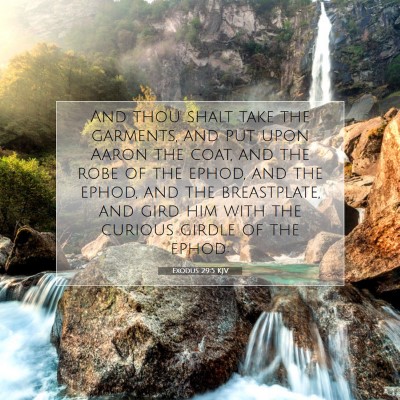 Picture 07 - Exodus 29:5 KJV - And thou shalt take the garments, and put upon - Bible Verse Picture