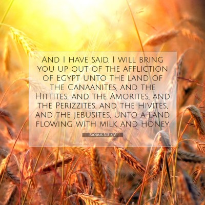 Picture 07 - Exodus 3:17 KJV - And I have said, I will bring you up out of the - Bible Verse Picture