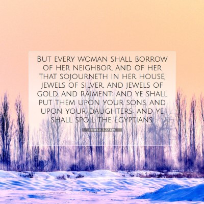 Picture 07 - Exodus 3:22 KJV - But every woman shall borrow of her neighbor, and - Bible Verse Picture