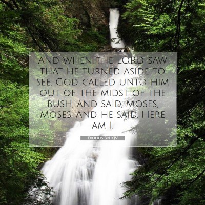Picture 07 - Exodus 3:4 KJV - And when the LORD saw that he turned aside to - Bible Verse Picture
