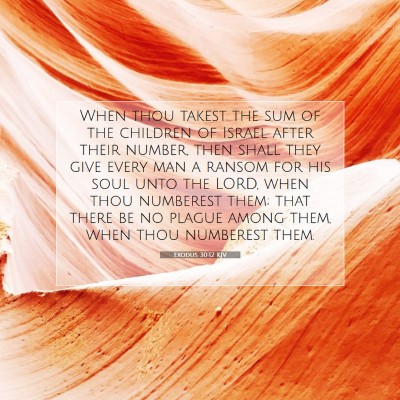 Picture 07 - Exodus 30:12 KJV - When thou takest the sum of the children of - Bible Verse Picture