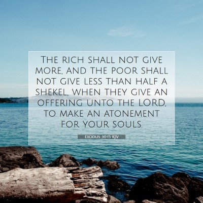 Picture 07 - Exodus 30:15 KJV - The rich shall not give more, and the poor shall - Bible Verse Picture