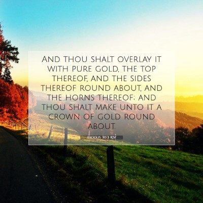 Picture 07 - Exodus 30:3 KJV - And thou shalt overlay it with pure gold, the top - Bible Verse Picture