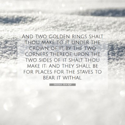 Picture 07 - Exodus 30:4 KJV - And two golden rings shalt thou make to it under - Bible Verse Picture