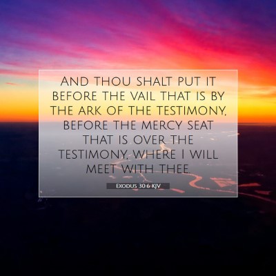 Picture 07 - Exodus 30:6 KJV - And thou shalt put it before the vail that is by - Bible Verse Picture